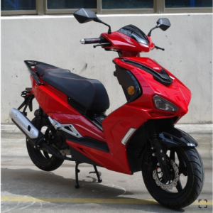 Scooter Jordon B Max